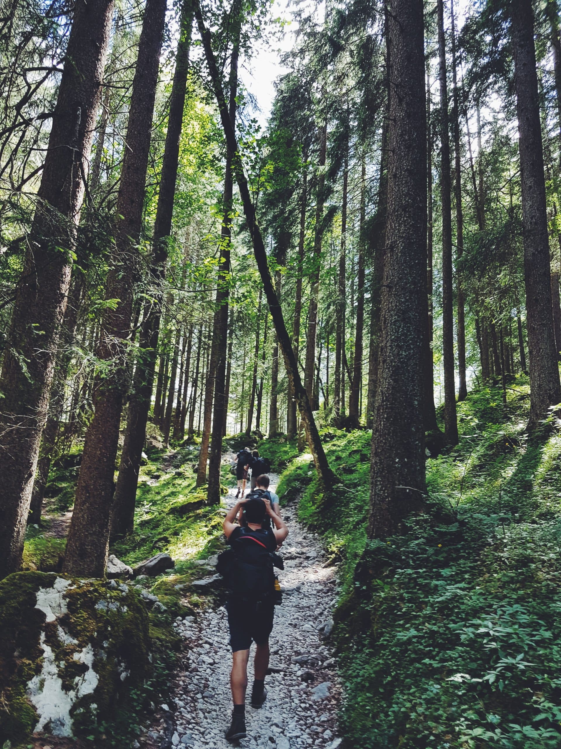 Explore Go