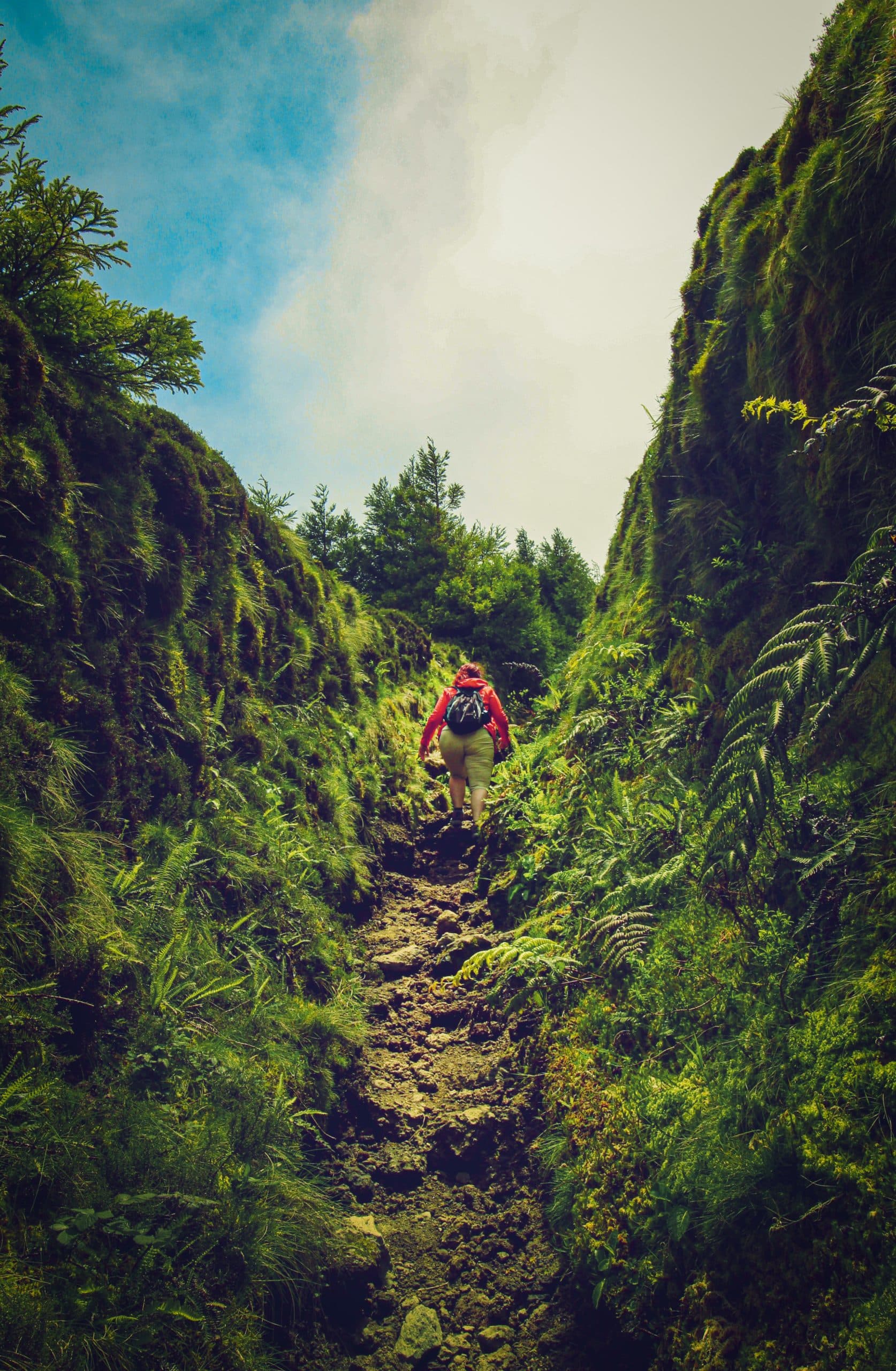 Explore Go